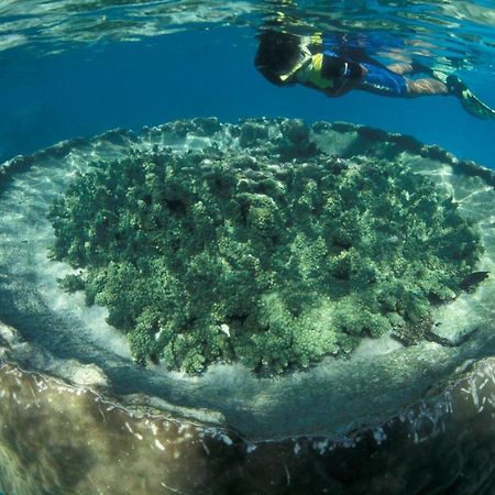 Отель Sal Salis Ningaloo Reef Эксмут Экстерьер фото