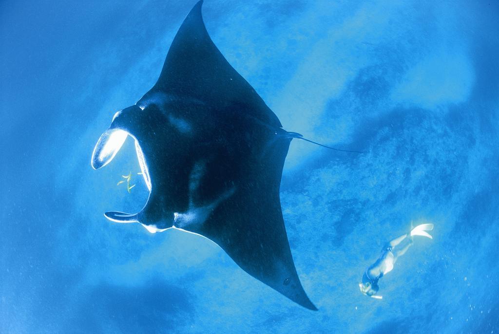 Отель Sal Salis Ningaloo Reef Эксмут Экстерьер фото